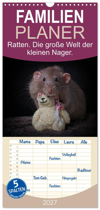 Ratten. Die große Welt der kleinen Nager (CALVENDO Familienplaner 2027)