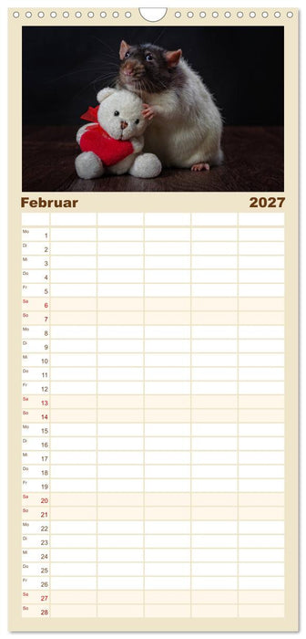 Ratten. Die große Welt der kleinen Nager (CALVENDO Familienplaner 2027)