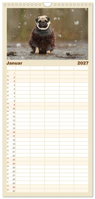 Lustige Möpse aus der Hundeknipserei (CALVENDO Familienplaner 2027)