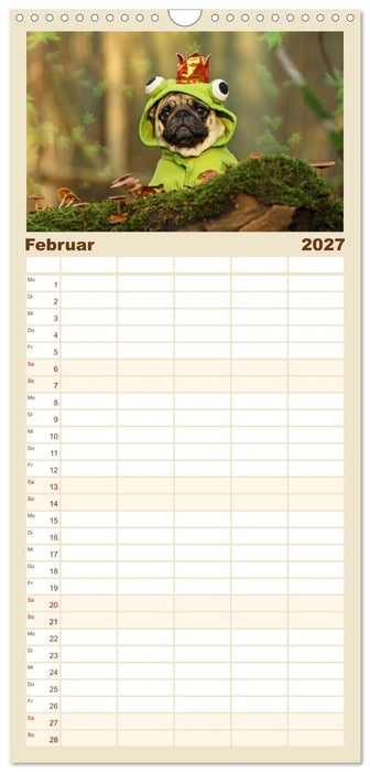 Lustige Möpse aus der Hundeknipserei (CALVENDO Familienplaner 2027)