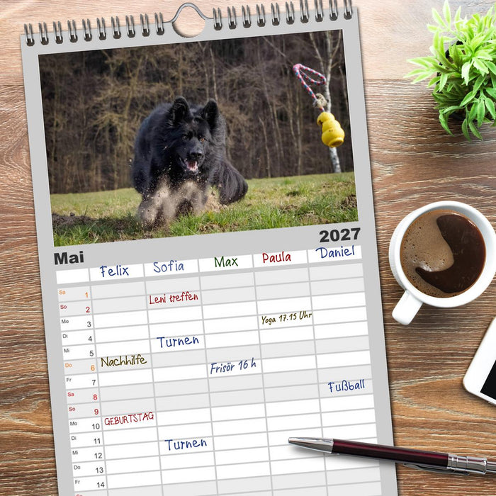 Schwarz ist schön! Der lackschwarze altdeutsche Schäferhund (CALVENDO Familienplaner 2027)