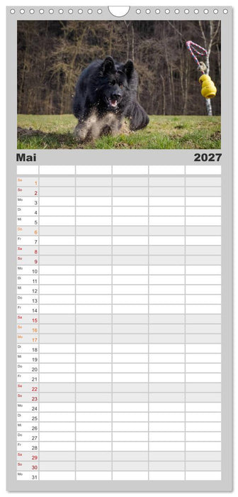 Schwarz ist schön! Der lackschwarze altdeutsche Schäferhund (CALVENDO Familienplaner 2027)