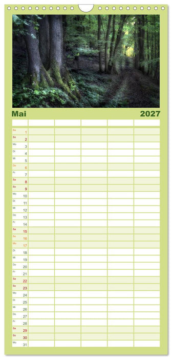 Waldkalender (CALVENDO Familienplaner 2027)
