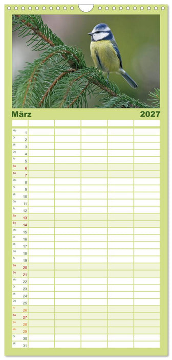 Heimische Gartenvögel (CALVENDO Familienplaner 2027)