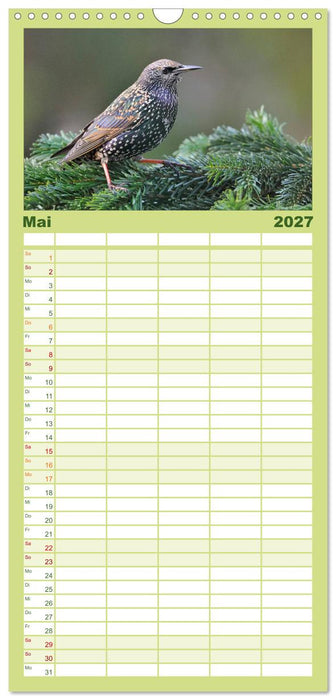 Heimische Gartenvögel (CALVENDO Familienplaner 2027)