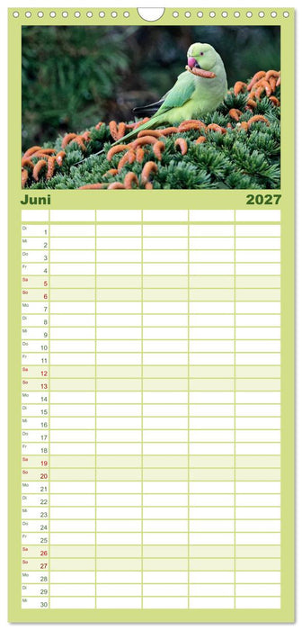 Heimische Gartenvögel (CALVENDO Familienplaner 2027)