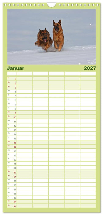 Der Schäferhunde Familienplaner hoch (CALVENDO Familienplaner 2027)