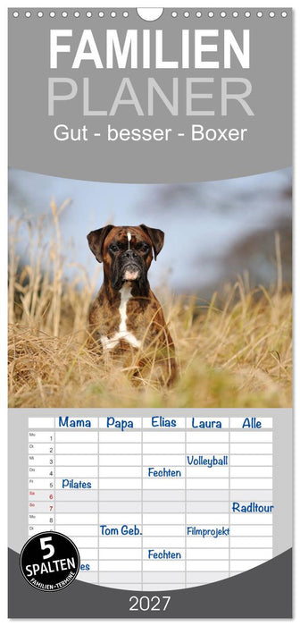 Gut - besser - Boxer (CALVENDO Familienplaner 2027)