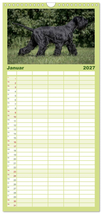 Schnauzer... von Zwergen und Riesen 2027 (CALVENDO Familienplaner 2027)