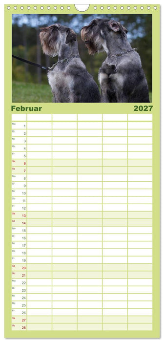 Schnauzer... von Zwergen und Riesen 2027 (CALVENDO Familienplaner 2027)