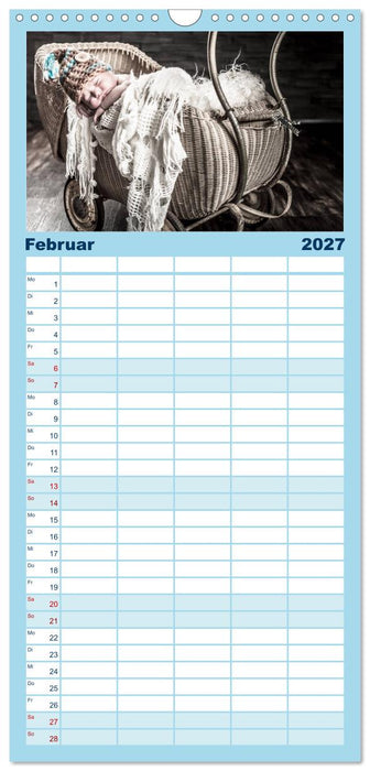 Baby - süße Träume (CALVENDO Familienplaner 2027)