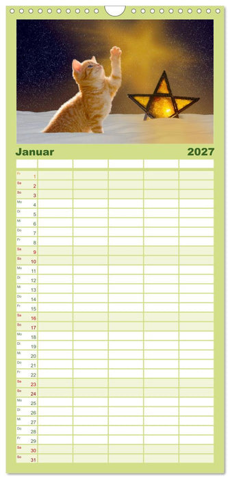 Kätzchen 2027 (CALVENDO Familienplaner 2027)