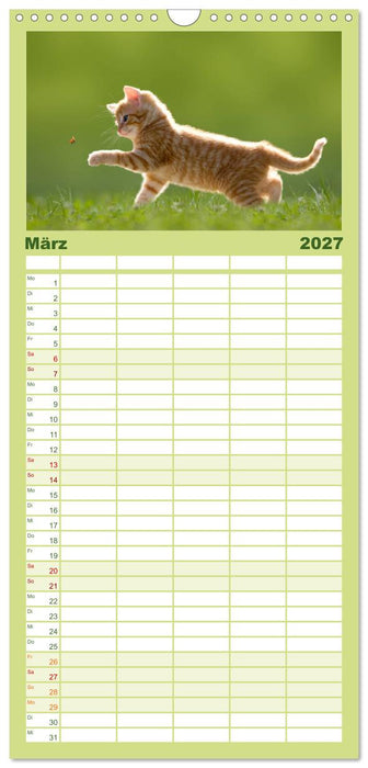 Kätzchen 2027 (CALVENDO Familienplaner 2027)