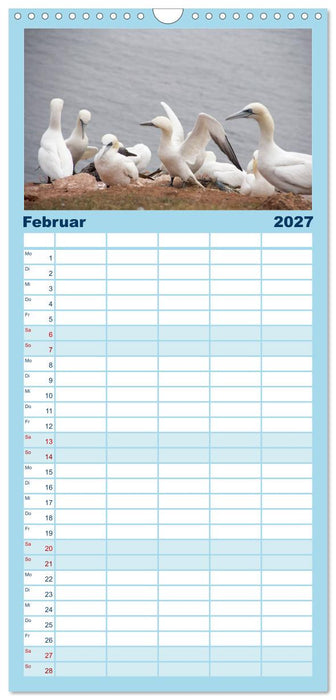 Helgoland - idyllische Nordseeinsel (CALVENDO Familienplaner 2027)