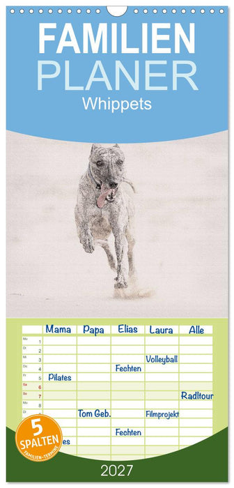 Whippet 2027 (CALVENDO Familienplaner 2027)