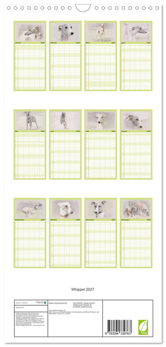 Whippet 2027 (CALVENDO Familienplaner 2027)