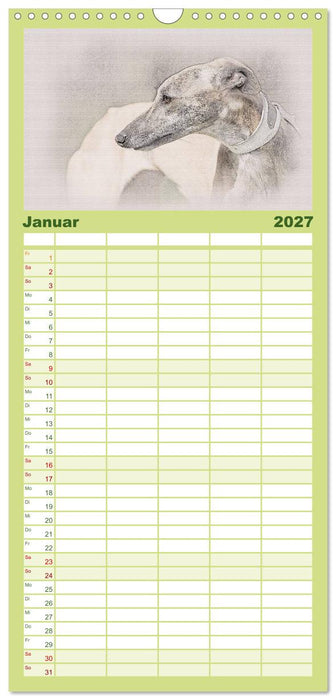 Whippet 2027 (CALVENDO Familienplaner 2027)