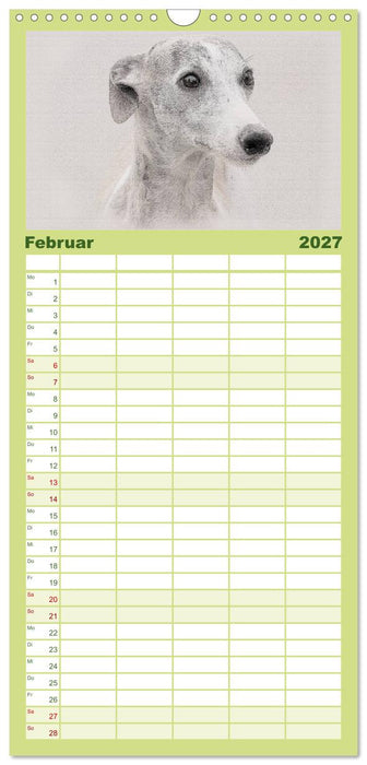 Whippet 2027 (CALVENDO Familienplaner 2027)