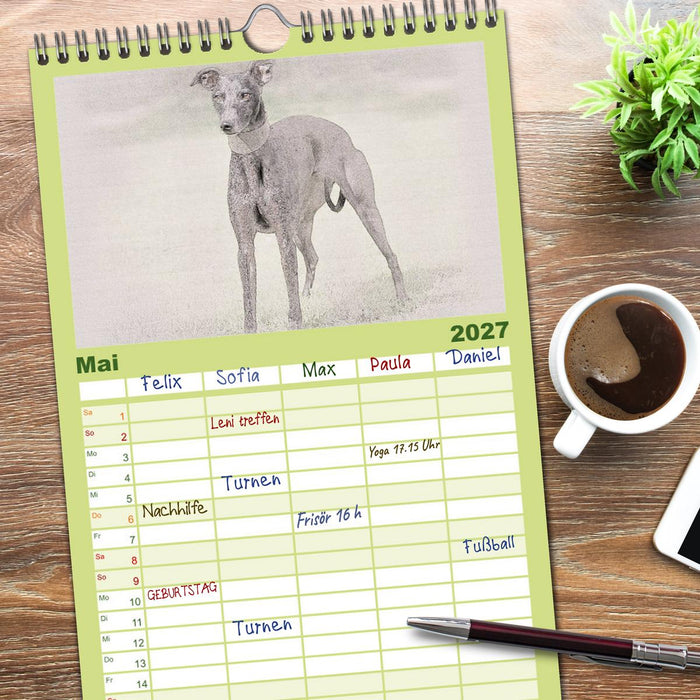 Whippet 2027 (CALVENDO Familienplaner 2027)