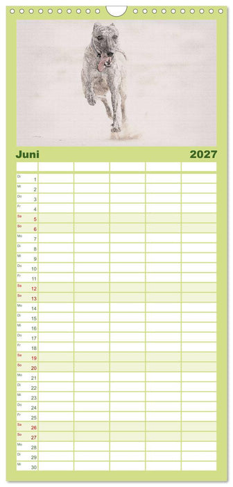 Whippet 2027 (CALVENDO Familienplaner 2027)