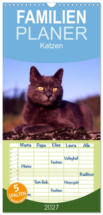 Katzen (CALVENDO Familienplaner 2027)