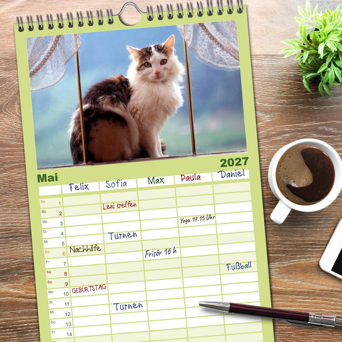 Katzen (CALVENDO Familienplaner 2027)