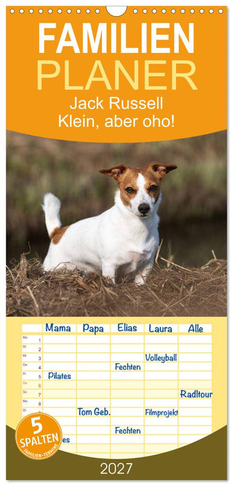 Jack Russell - Klein, aber oho! (CALVENDO Familienplaner 2027)