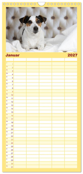 Jack Russell - Klein, aber oho! (CALVENDO Familienplaner 2027)