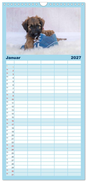 Briardbabys in ihren ersten Wochen (CALVENDO Familienplaner 2027)