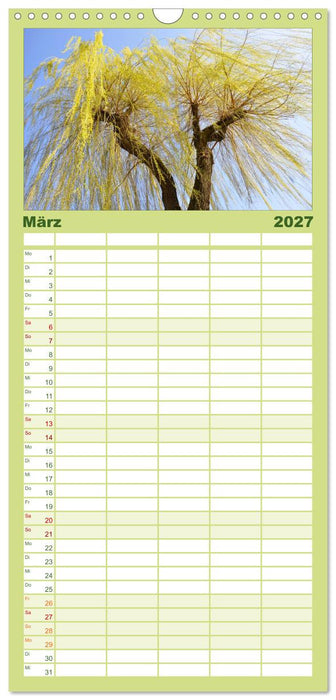 Bäume 2027 (CALVENDO Familienplaner 2027)