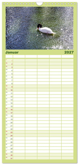 Welt der Tiere (CALVENDO Familienplaner 2027)