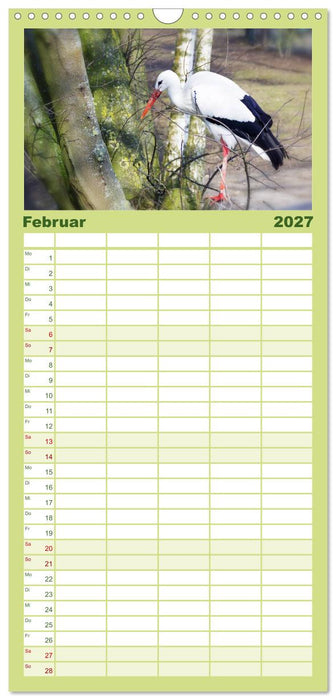 Welt der Tiere (CALVENDO Familienplaner 2027)
