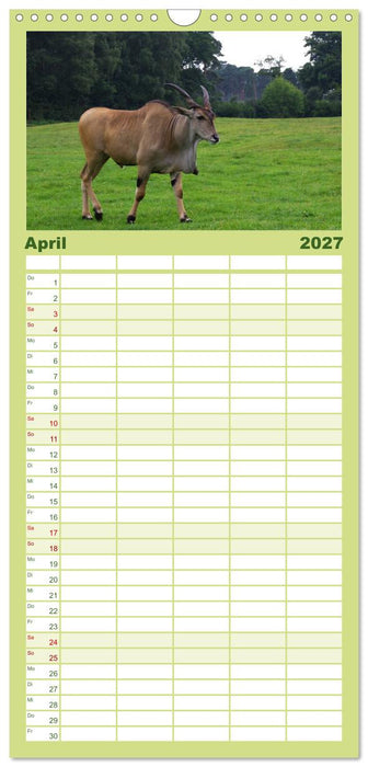 Welt der Tiere (CALVENDO Familienplaner 2027)