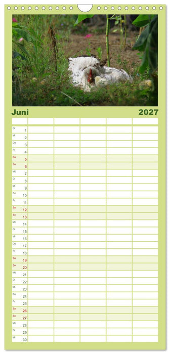 Welt der Tiere (CALVENDO Familienplaner 2027)