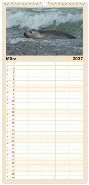 Das Leben der Robben (CALVENDO Familienplaner 2027)