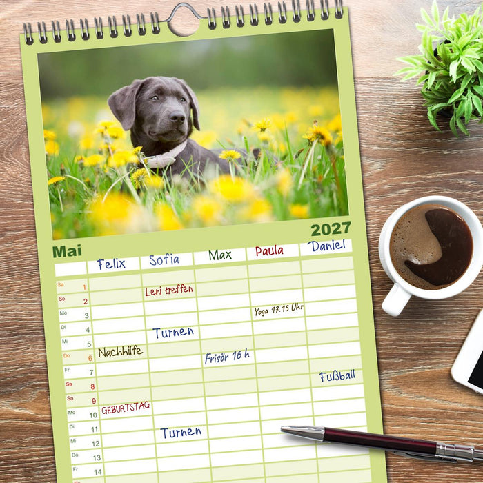 Labrador Retriever (CALVENDO Familienplaner 2027)