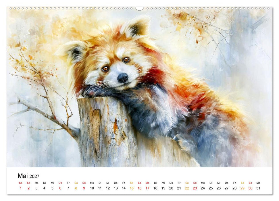 Roter Panda - Tierische Eleganz (CALVENDO Premium Wandkalender 2027)