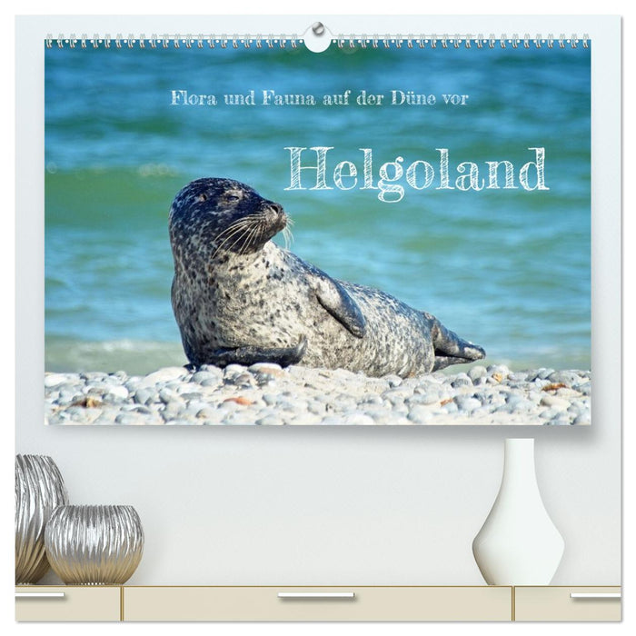 Flora und Fauna auf der Düne vor Helgoland (CALVENDO Premium Wandkalender 2027)
