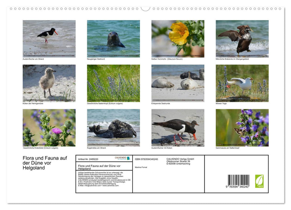 Flora und Fauna auf der Düne vor Helgoland (CALVENDO Premium Wandkalender 2027)