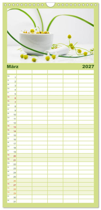 Helfende Kräuter aus dem Garten (CALVENDO Familienplaner 2027)