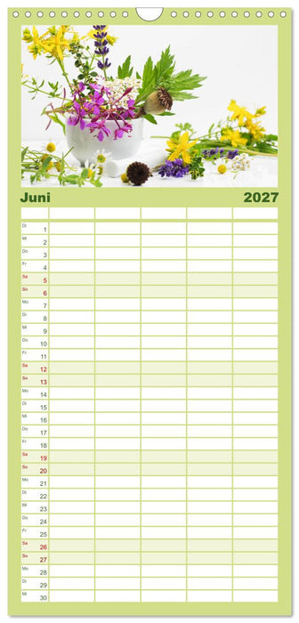 Helfende Kräuter aus dem Garten (CALVENDO Familienplaner 2027)