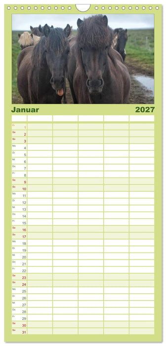 Charakterköpfe Islandpferde (CALVENDO Familienplaner 2027)