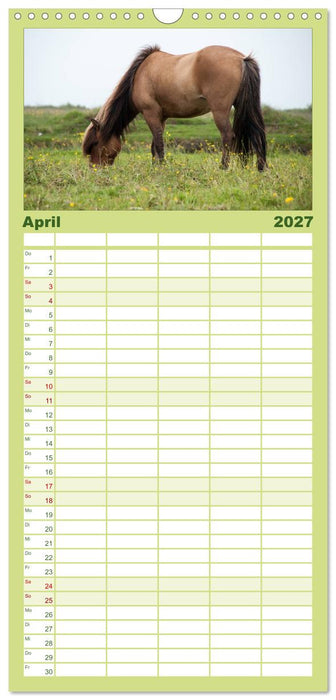 Charakterköpfe Islandpferde (CALVENDO Familienplaner 2027)