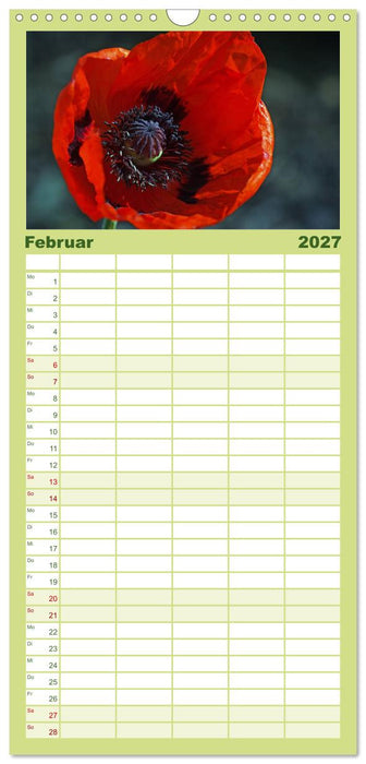 Mohnblumen Träume (CALVENDO Familienplaner 2027)