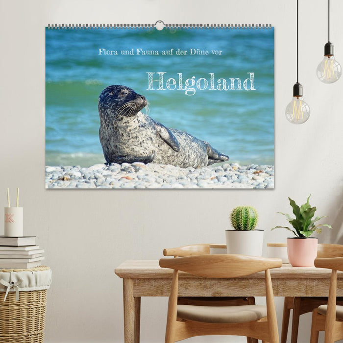 Flora und Fauna auf der Düne vor Helgoland (CALVENDO Wandkalender 2027)