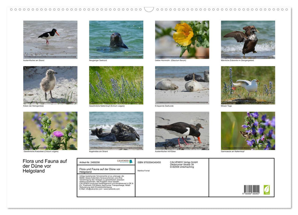 Flora und Fauna auf der Düne vor Helgoland (CALVENDO Wandkalender 2027)