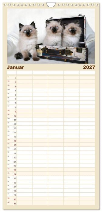 Katzenparade (CALVENDO Familienplaner 2027)