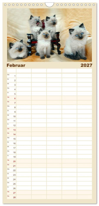 Katzenparade (CALVENDO Familienplaner 2027)