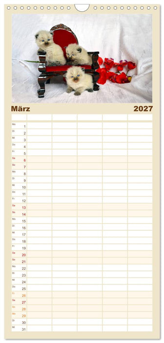Katzenparade (CALVENDO Familienplaner 2027)
