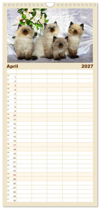 Katzenparade (CALVENDO Familienplaner 2027)